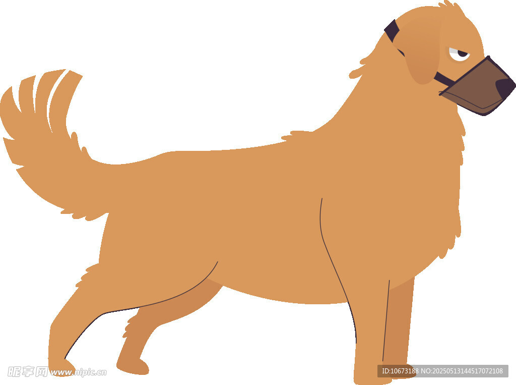站立的金毛犬插畫