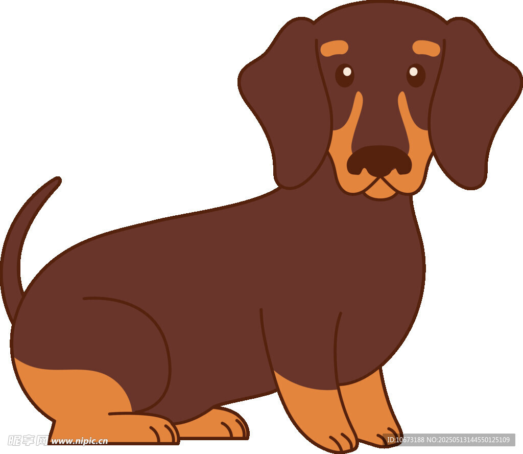 坐著的棕色臘腸犬插畫