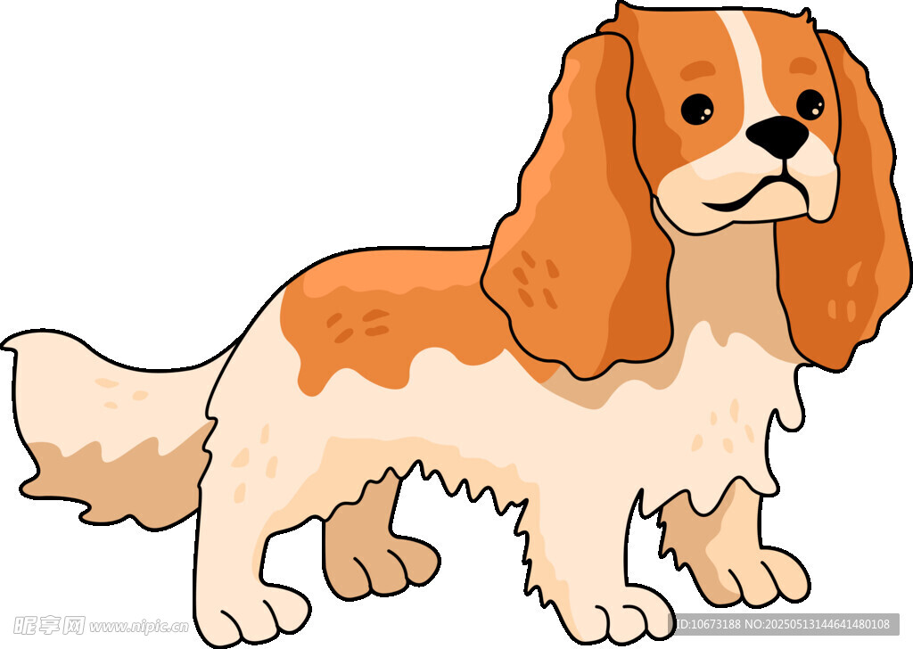 可愛的查爾斯王小獵犬