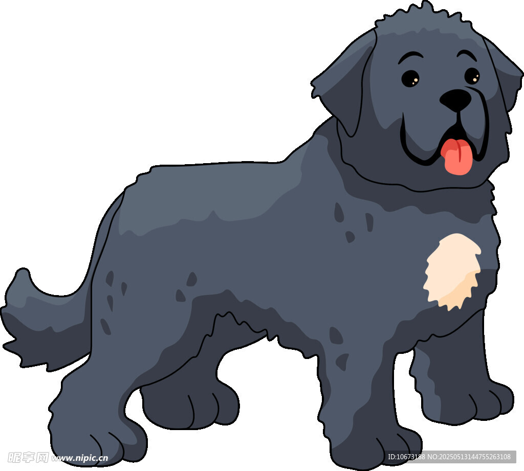 可愛黑色紐芬蘭犬插畫