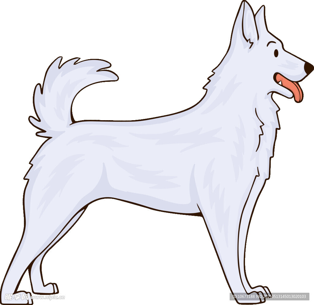 站立的白色牧羊犬插畫(huà)