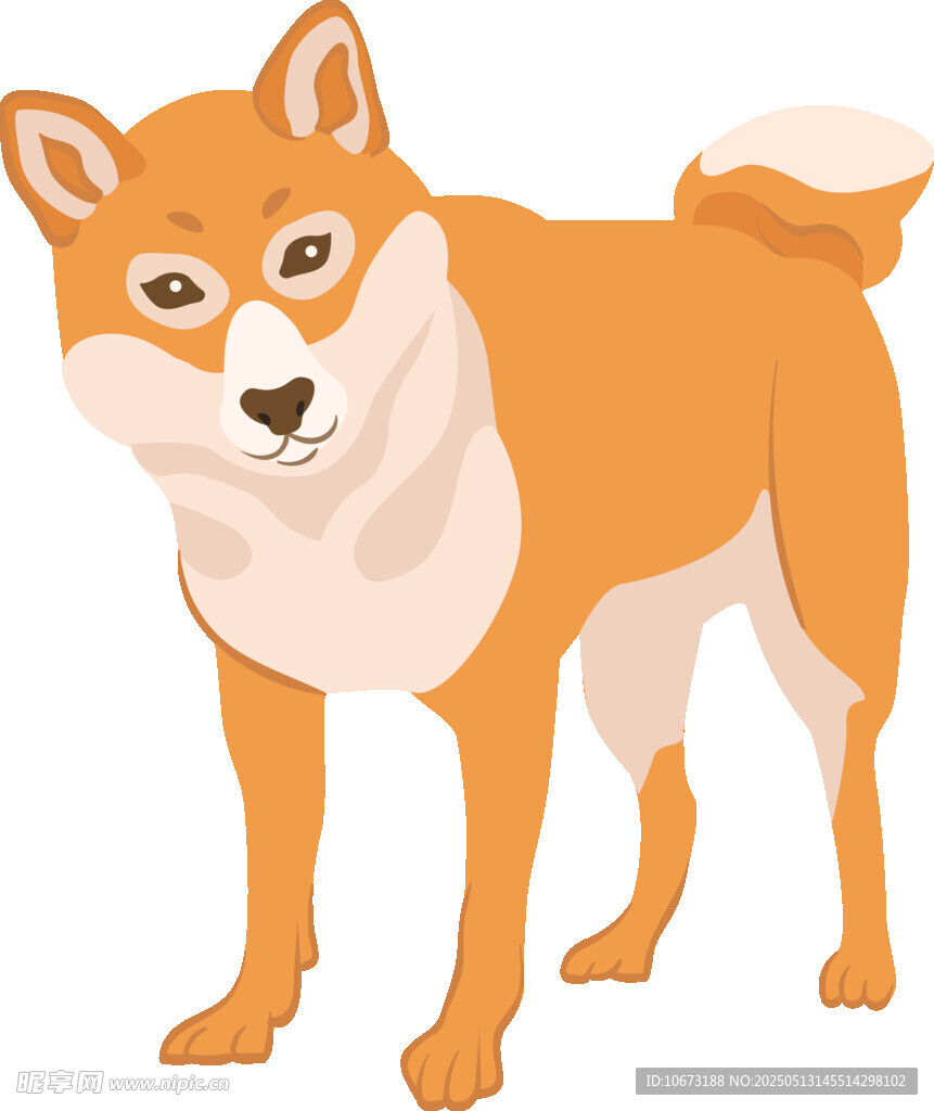 可愛(ài)站立柴犬插畫(huà)