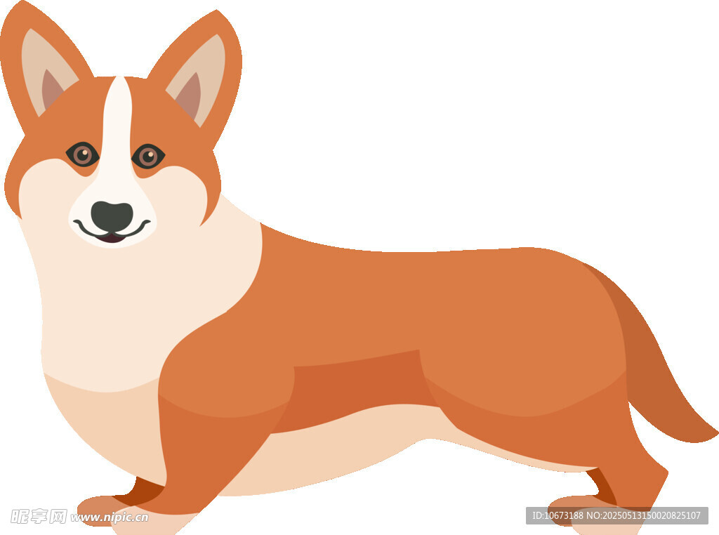 可愛站立柯基犬形象