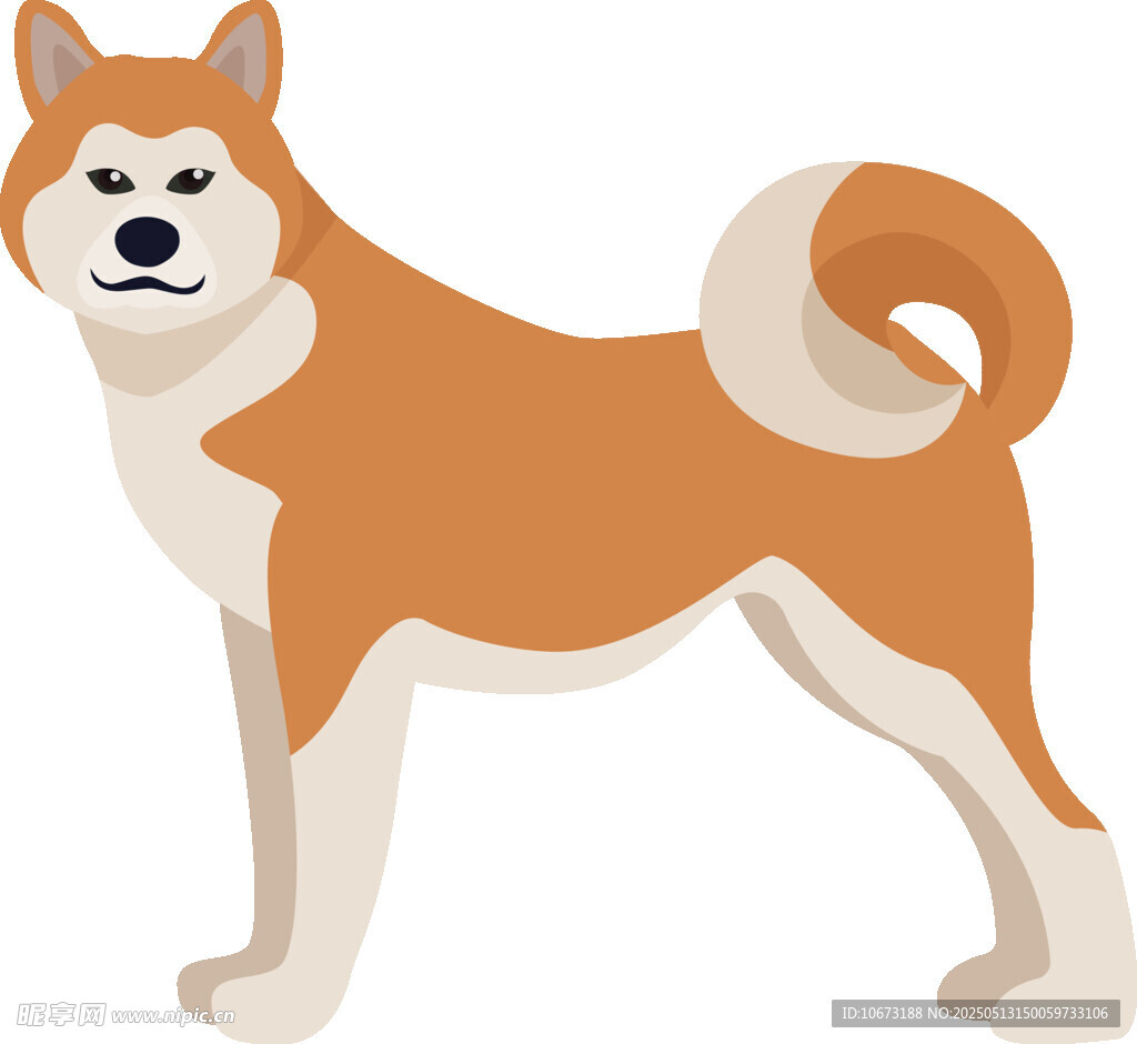 站立的柴犬卡通形象