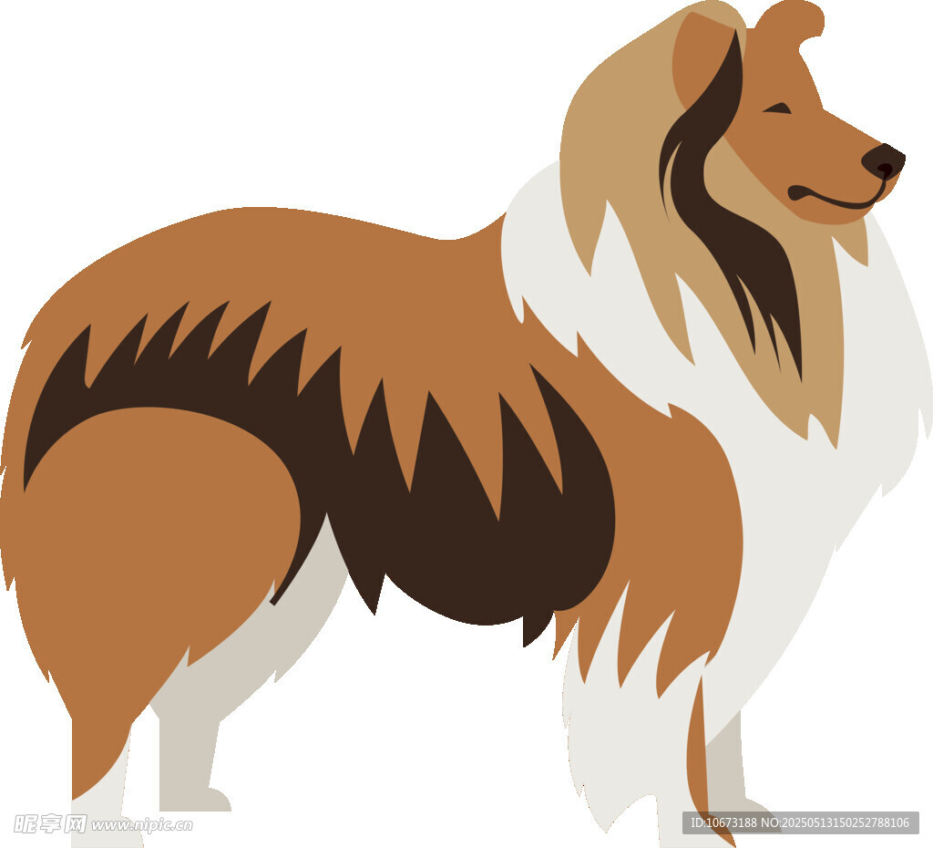 站立的長毛牧羊犬插畫