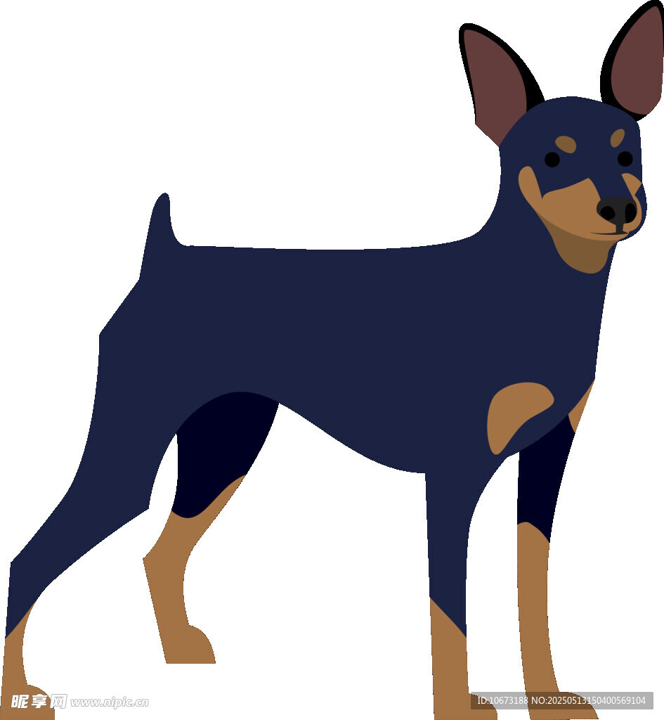 站立的迷你杜賓犬插畫