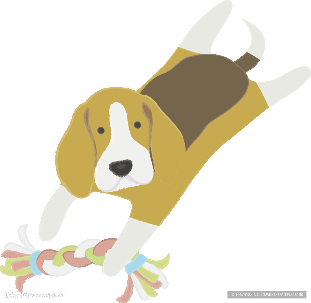 玩耍的小獵犬