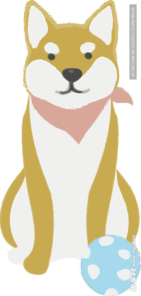 可愛(ài)柴犬與藍(lán)色玩具球