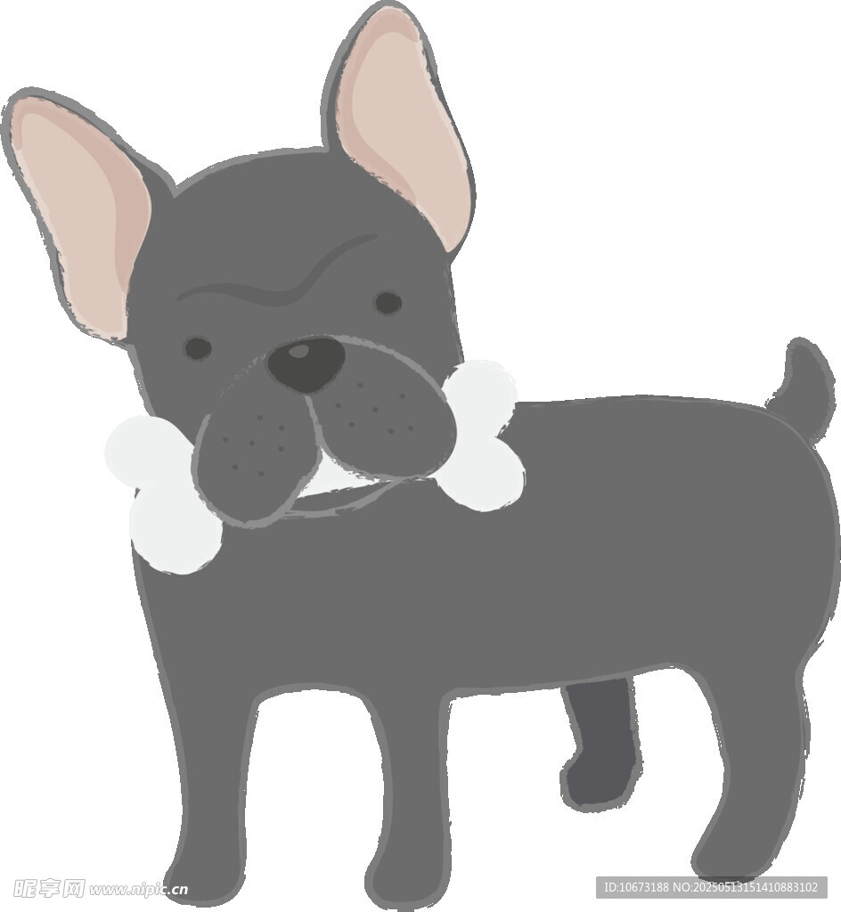 叼骨頭的可愛法國斗牛犬