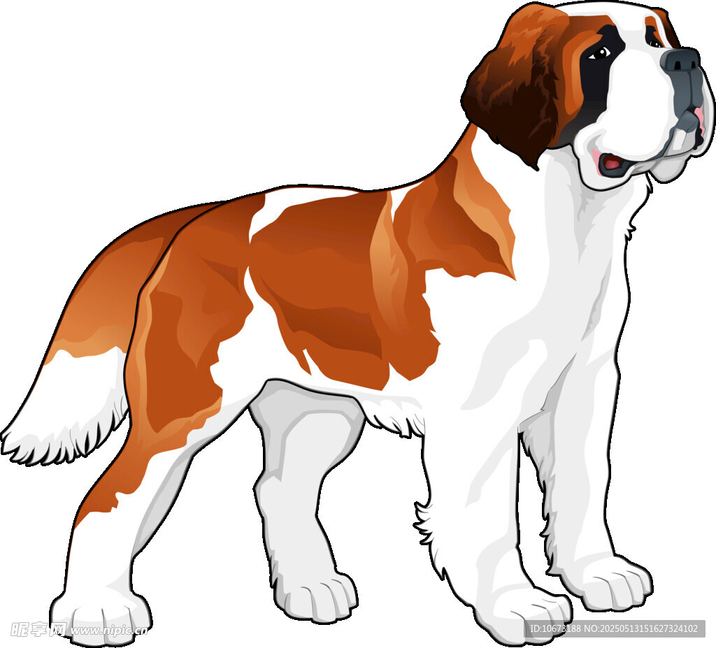 圣伯納犬插畫形象