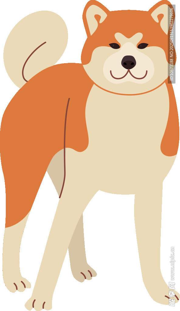 可愛(ài)站立柴犬插畫