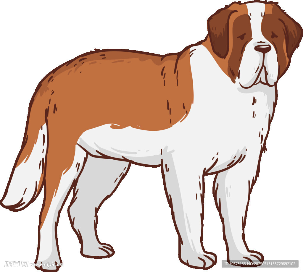 圣伯納犬插畫形象