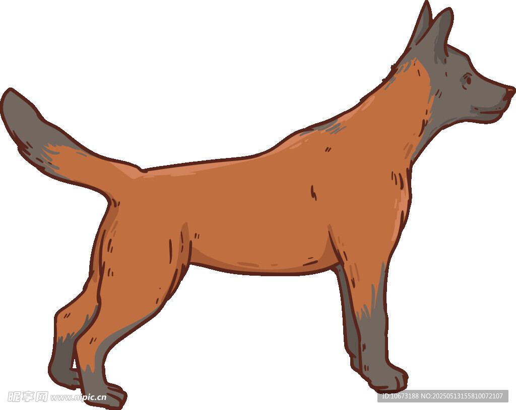 站立的棕色犬只