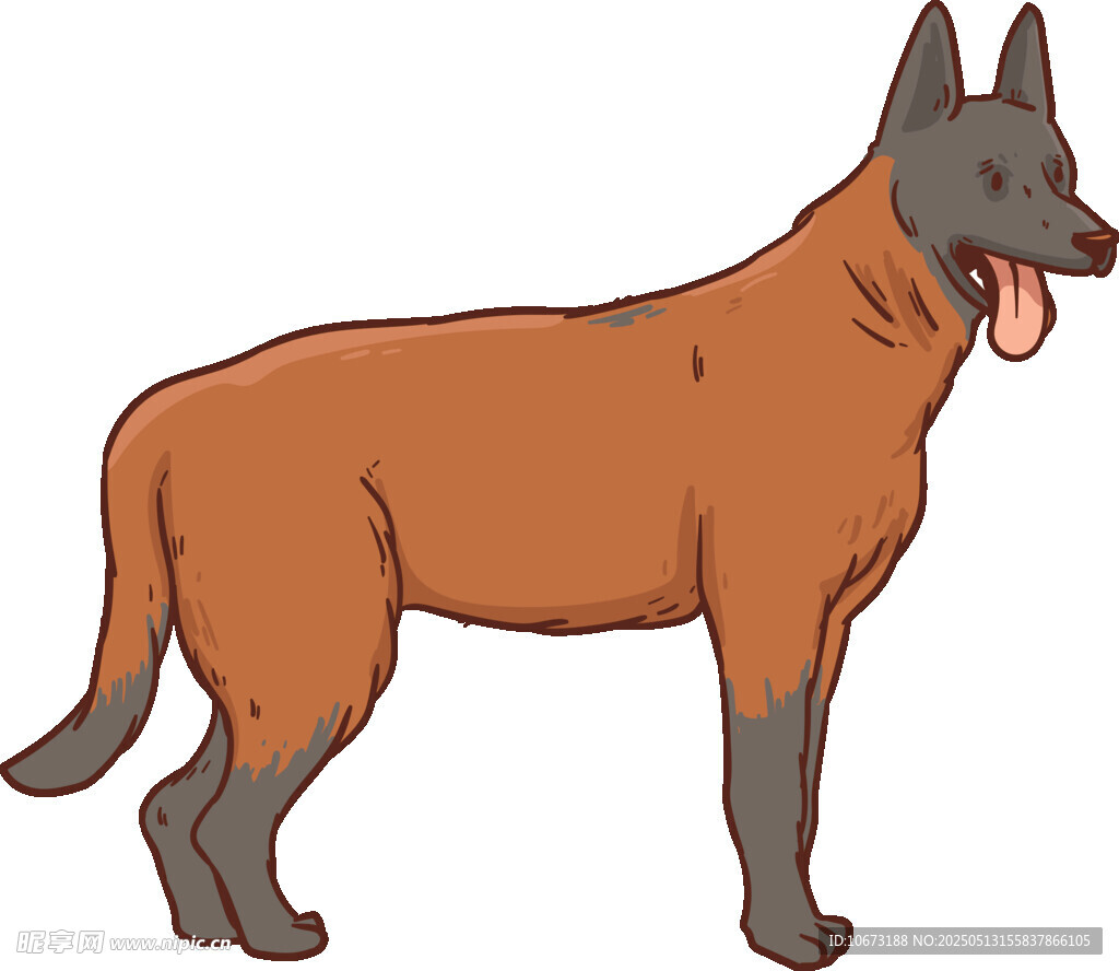 站立的棕色德國牧羊犬