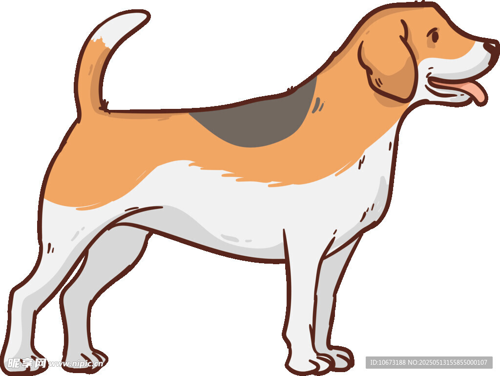 站立的小獵犬