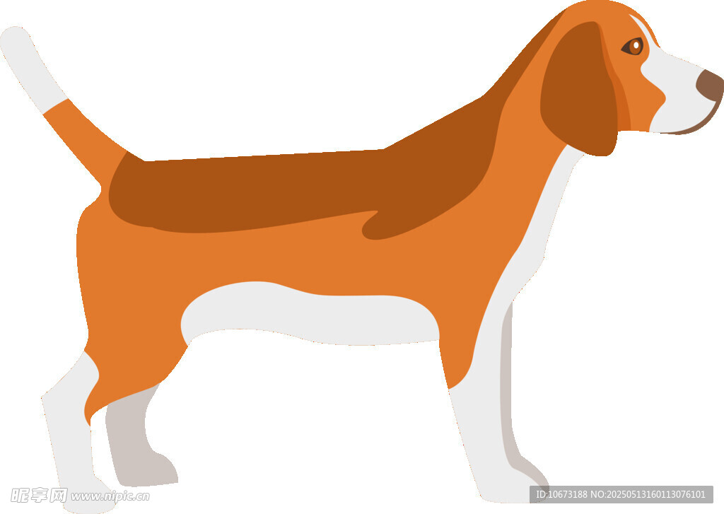 站立的小獵犬