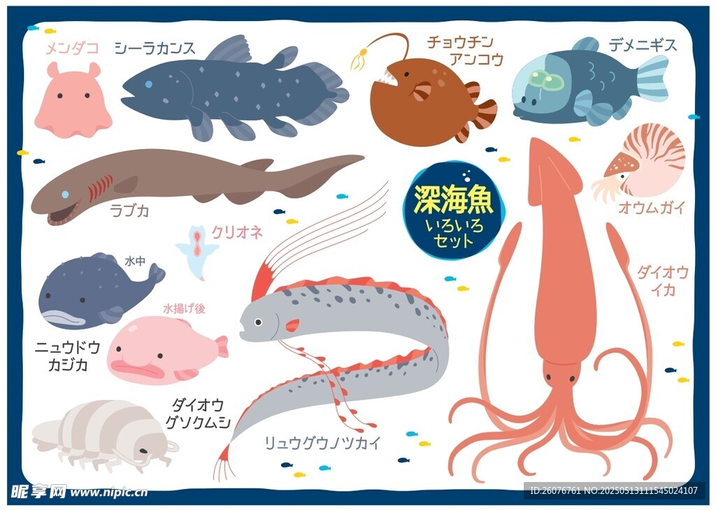 卡通海洋生物圖片