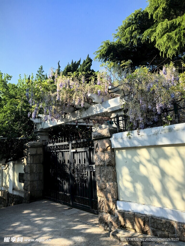 古樸石墻旁的綠植景致