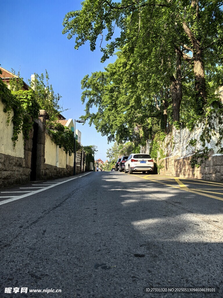 寧靜街道綠樹成蔭景象