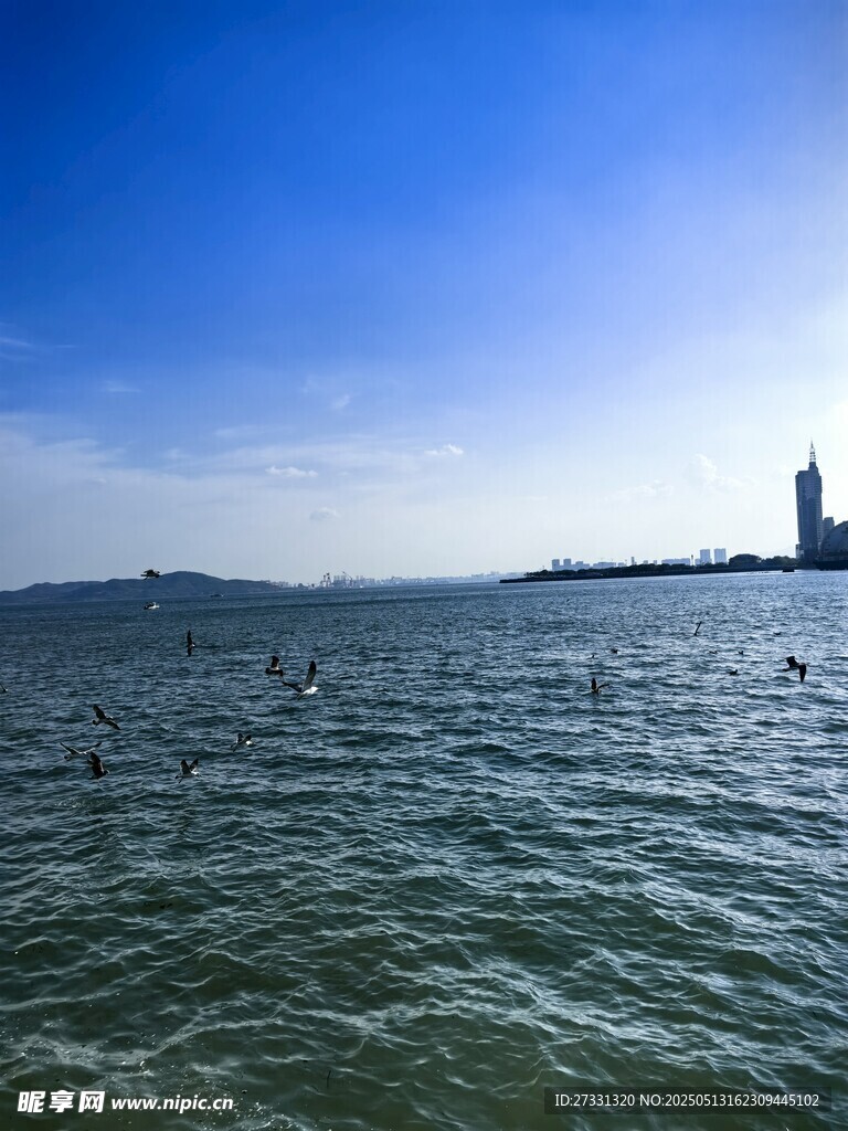 海上風(fēng)光遠(yuǎn)眺城市天際線