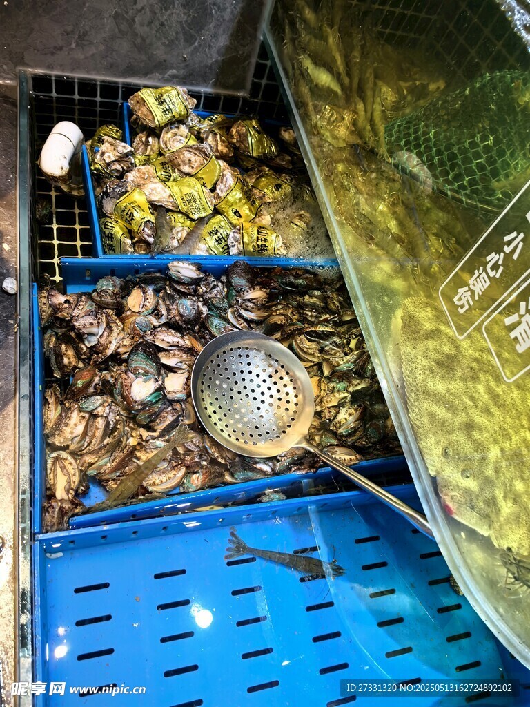 藍色筐內的多樣海鮮貝類