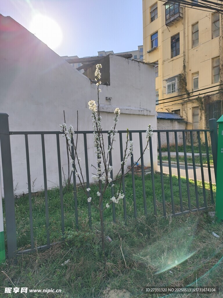 小區(qū)內(nèi)的綠植圍欄景觀