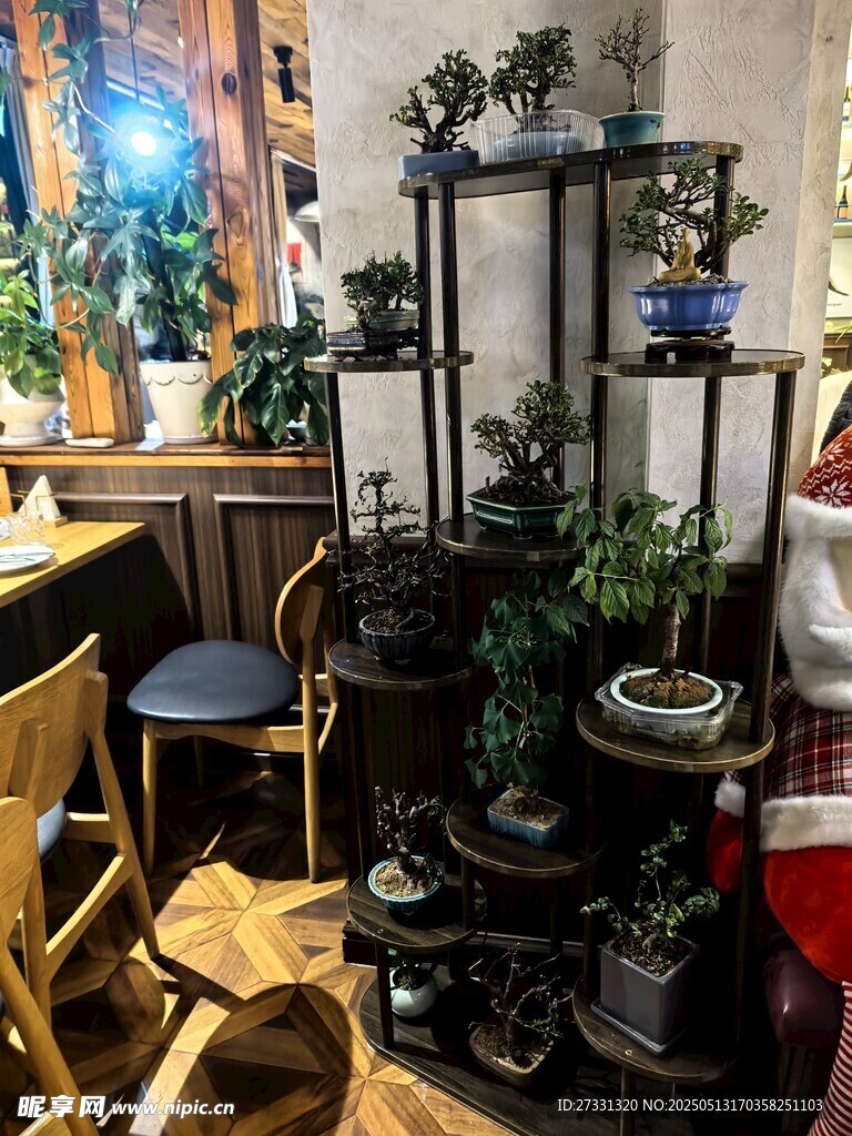 室內綠植一角