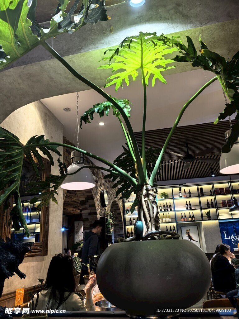 室內大型綠植盆栽景觀