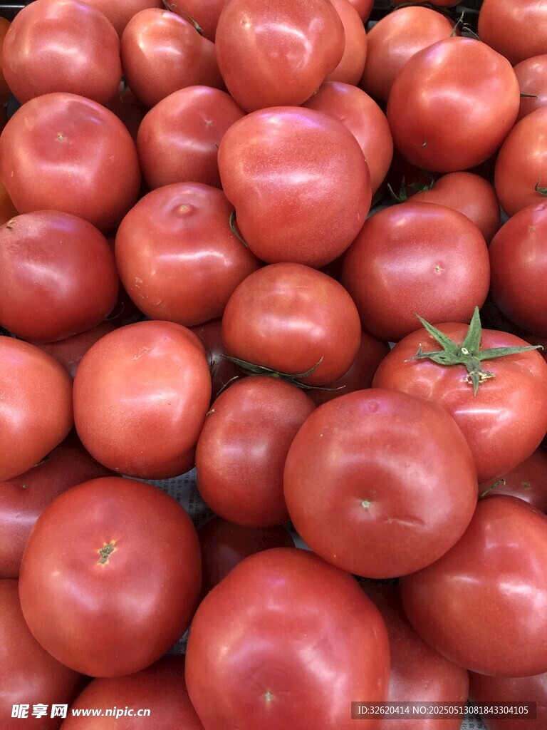 番茄 粉茄 西紅柿