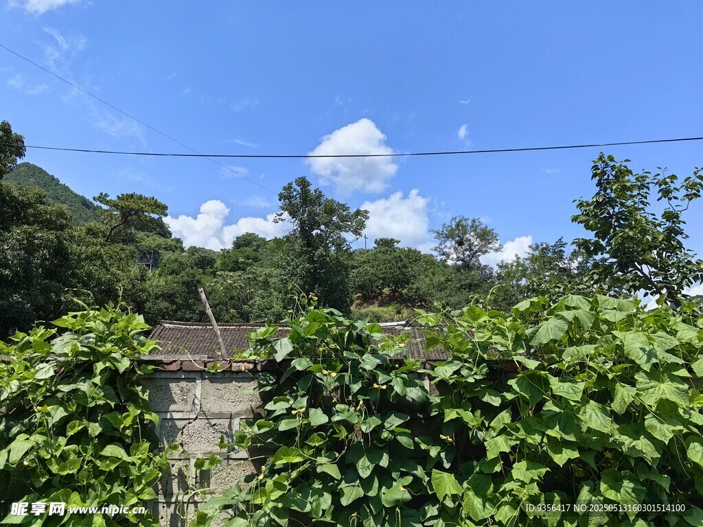 山間綠植環繞的石階小路