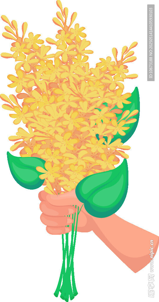 手捧金黃花束