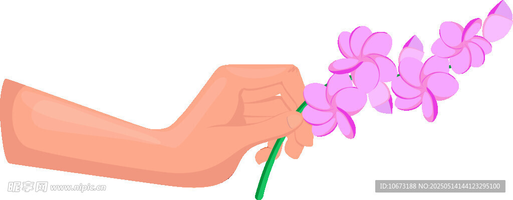 手捧紫花特寫(xiě)
