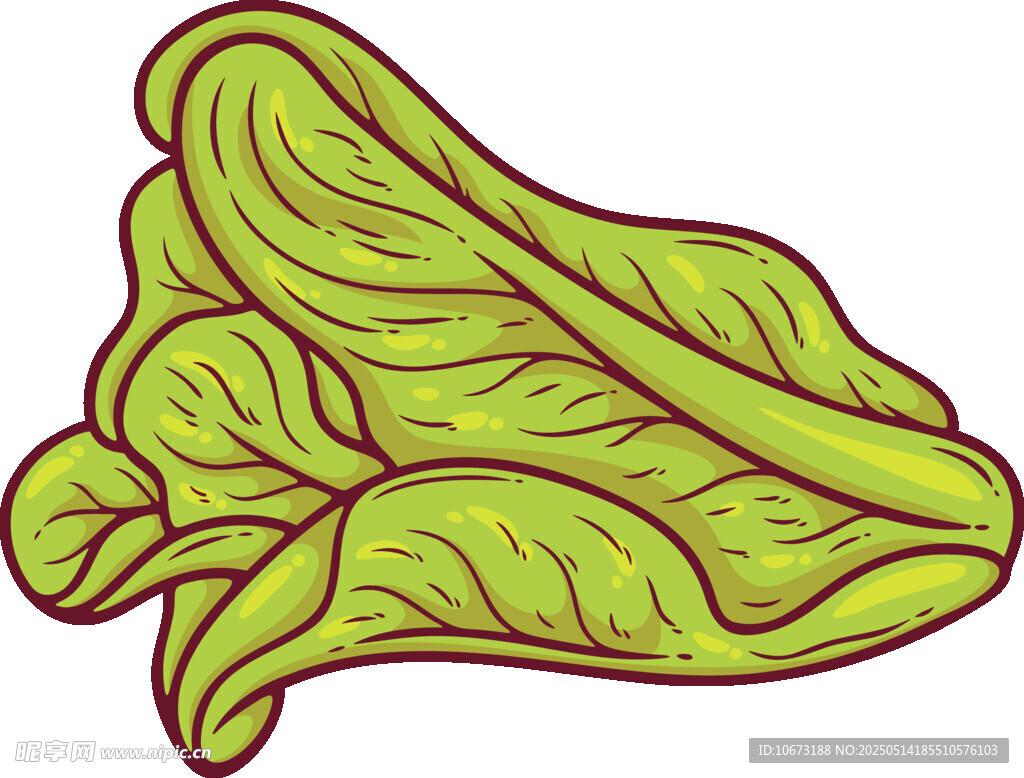 卡通風格綠色生菜插畫