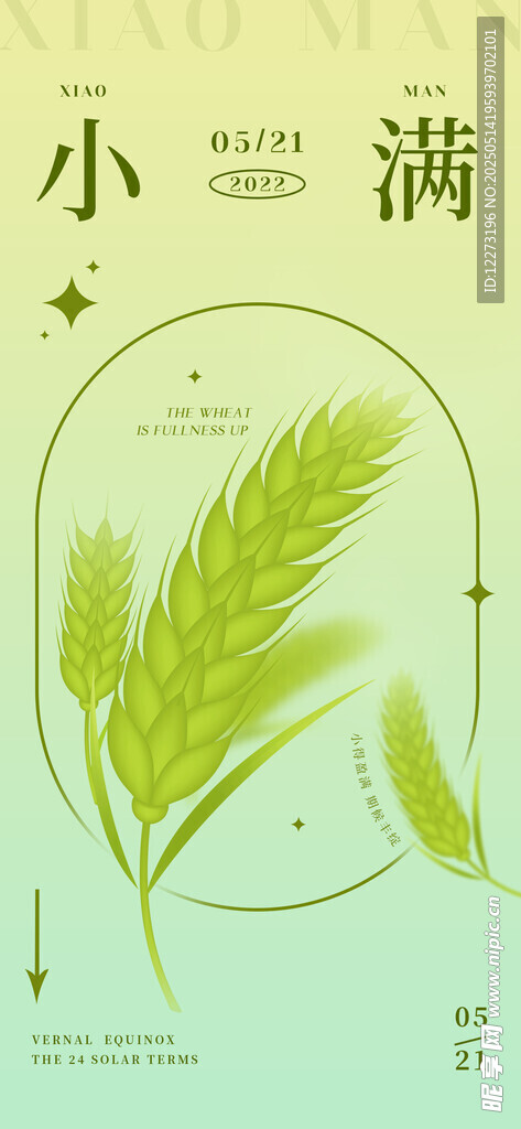 小滿節氣插畫