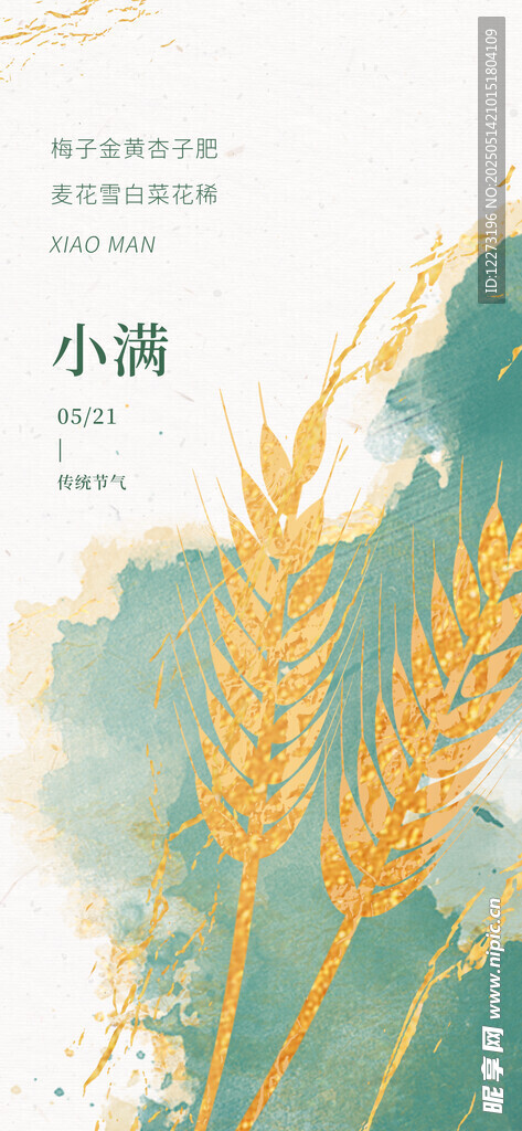 小滿時節麥穗金黃
