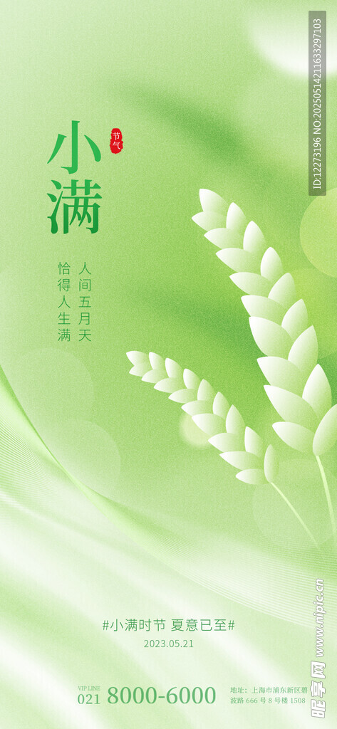 清新小滿節氣插畫海報