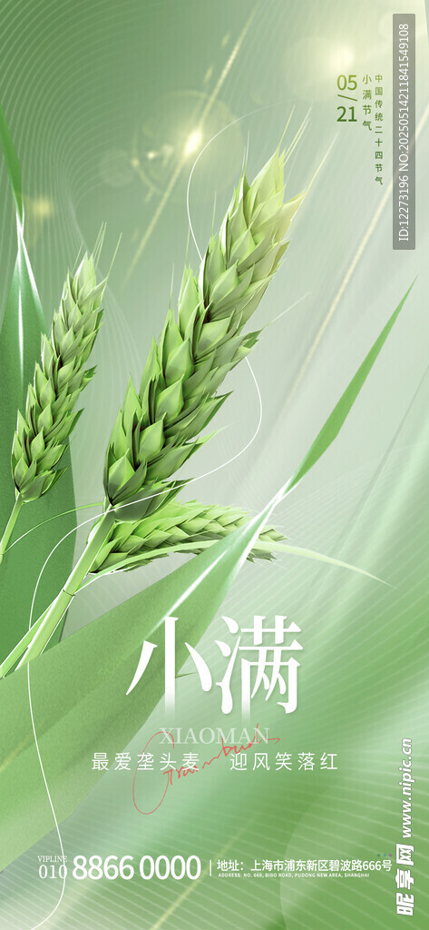 小滿時節麥穗初綻