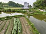 田園風光中的農田與建筑
