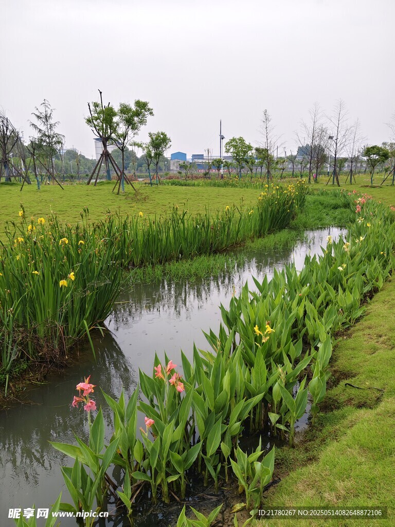 田園小河畔的自然景致