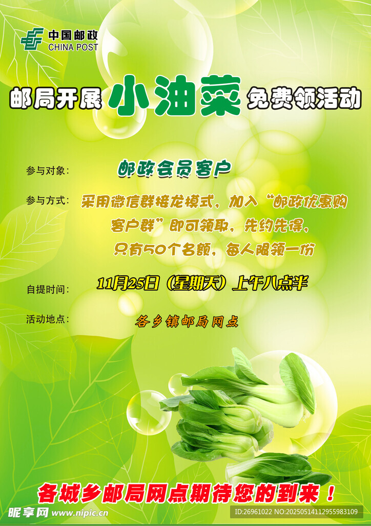 有機小油菜促銷海報