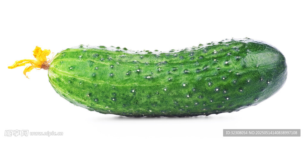 新鮮翠綠帶花小黃瓜