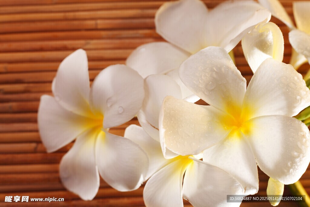 白色雞蛋花綻放于竹席上