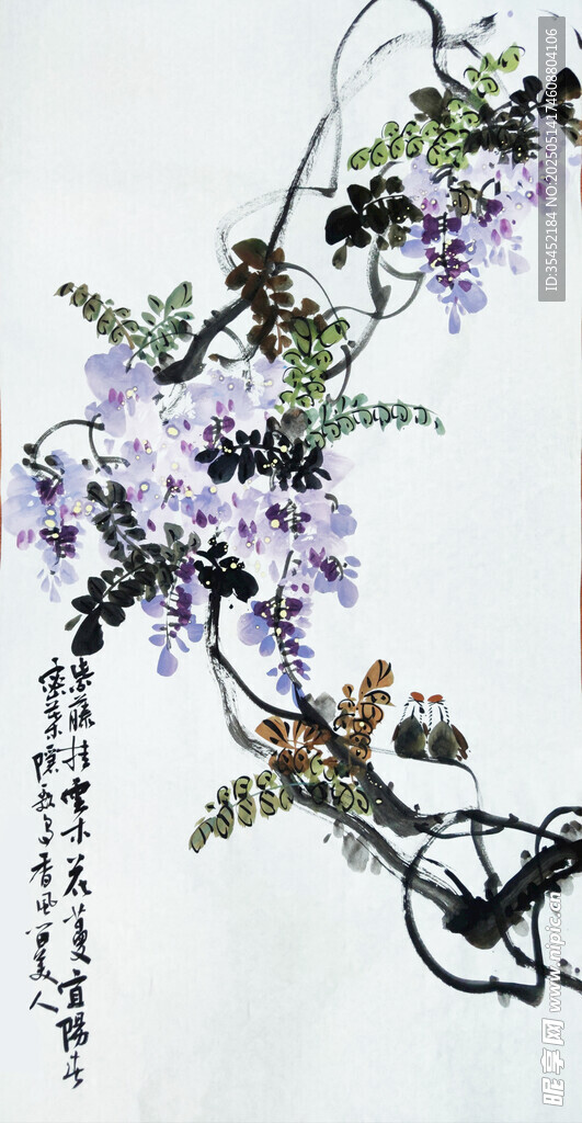 紫藤圖