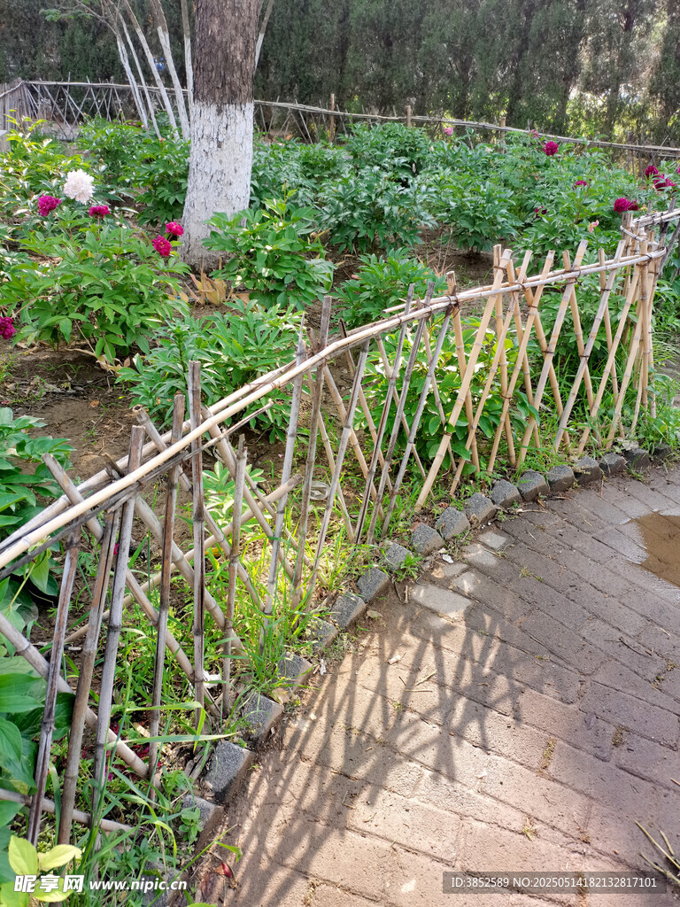 籬笆花墻