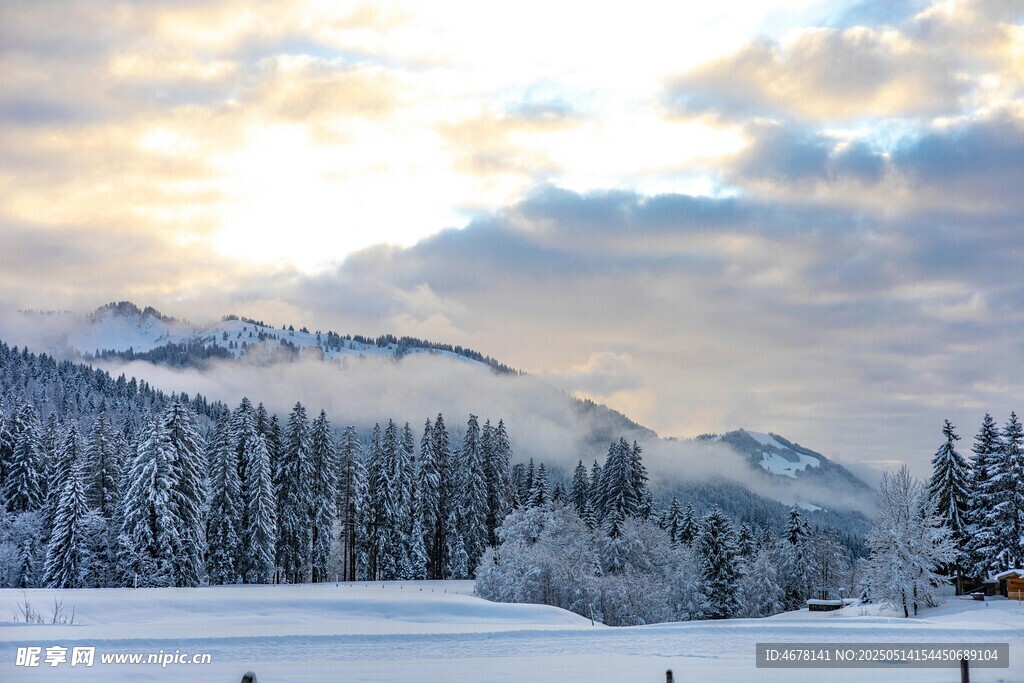 冬日雪山森林美景
