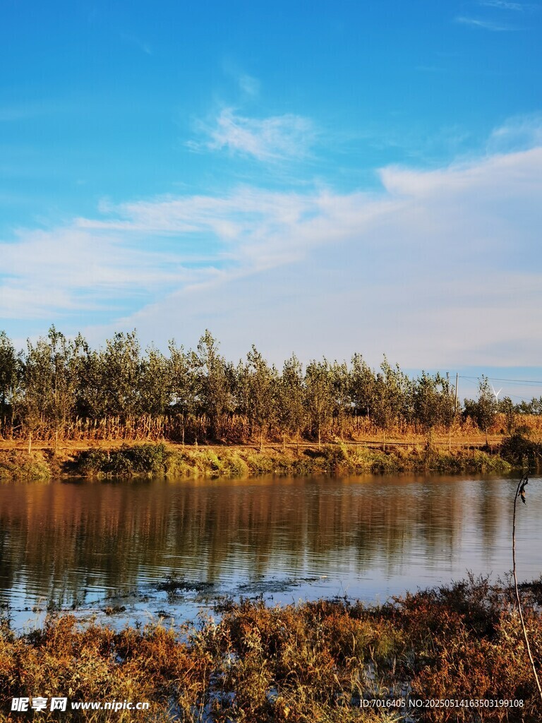 湖泊 樹木 藍天 白云 秋景 