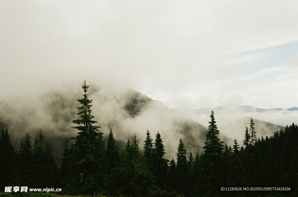 云霧繚繞中的山林美景