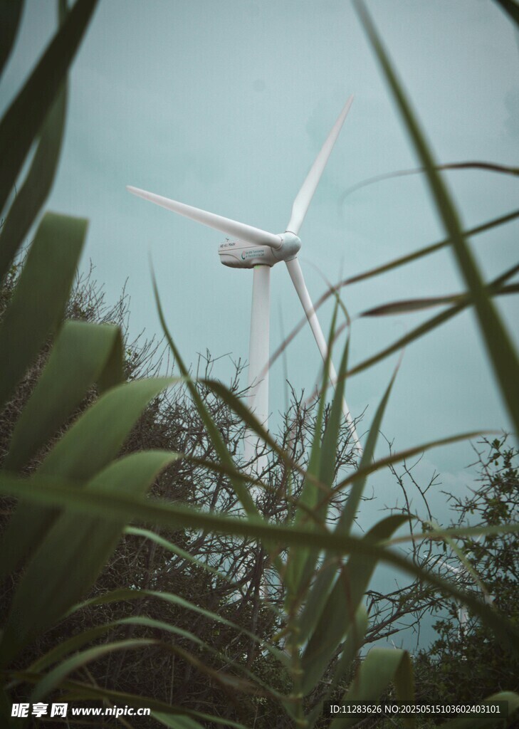 透過綠植看遠處風力發(fā)電機