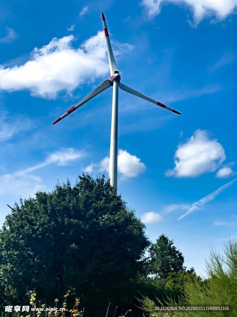 藍天綠樹間的風力發電機