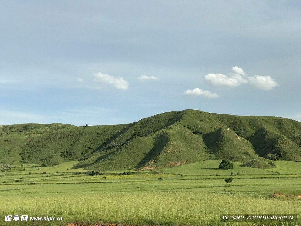 翠綠山丘下的廣袤草原